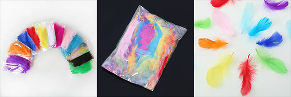 Colorful feathers